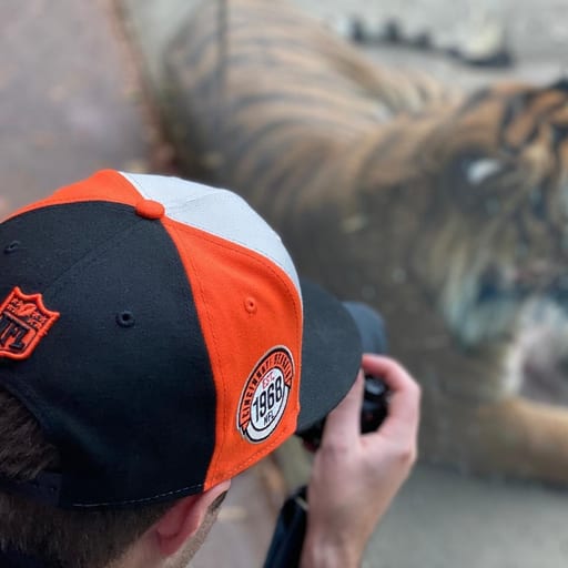 beastlyD Photography profile image